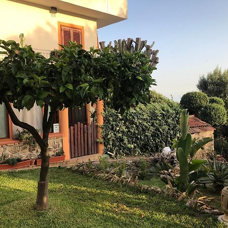 فيلا Il Vicolo Palinuro بيسكيوتا المظهر الخارجي الصورة